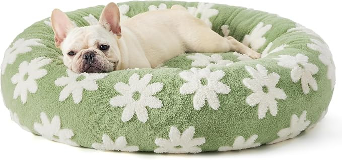 Lesure Donut Small Dog Bed - Round Cat Beds for Indoor Cats Calming Pet Beds, Cute Modern Beds wi... | Amazon (US)