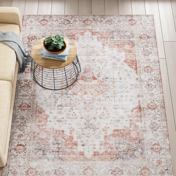 Chea Performance Light Gray/Rust Machine Washable Rug | Wayfair North America
