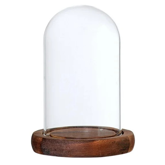Decorative Glass Cloche Bell Jar Dome with Wooden Base Display Decor_Brown A | Walmart (US)