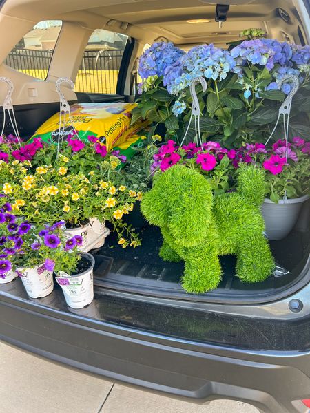 Patio Pet! How cute is this topiary dog to spruce up your space? The epitome of dopamine decor! It comes with garden stakes so if you place outside it will help stay secure! 🐶🌳

Outdoor decor, patio season, garden, patio decor, home

#LTKhome #LTKSeasonal #LTKfindsunder50