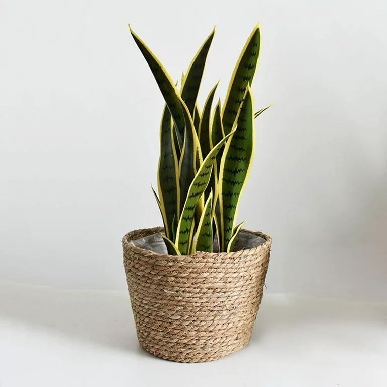 Woven Planter Basket Stylish Planter Baskets for Indoor and Outdoor Plants Flowerpots garden and ... | Walmart (US)