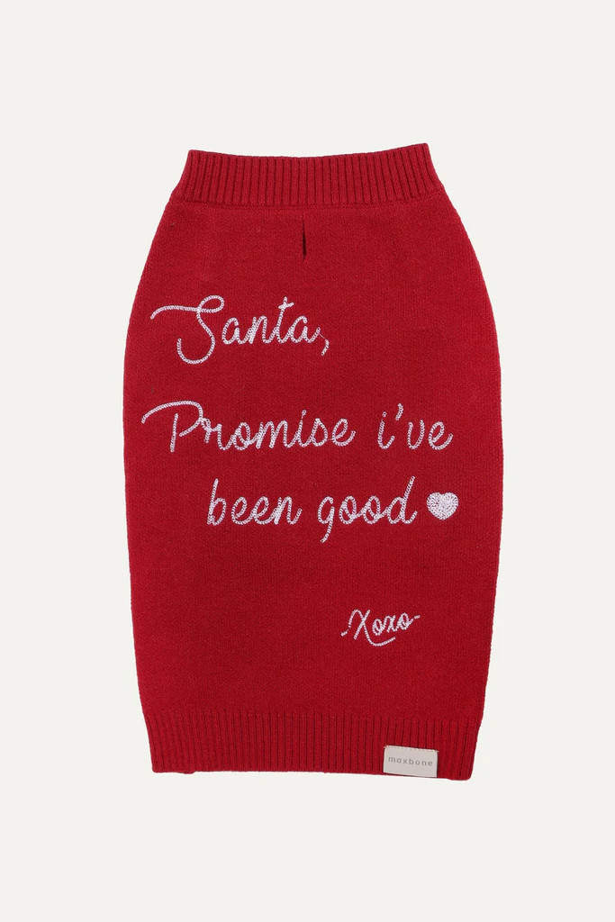 Promise Good Jumper | max-bone