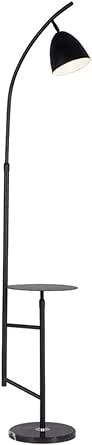 XBWEI Gold Nordic Led Floor Lamp Stand for Flowers Home Lighting Decor Lamps Living Room Shelves ... | Amazon (US)