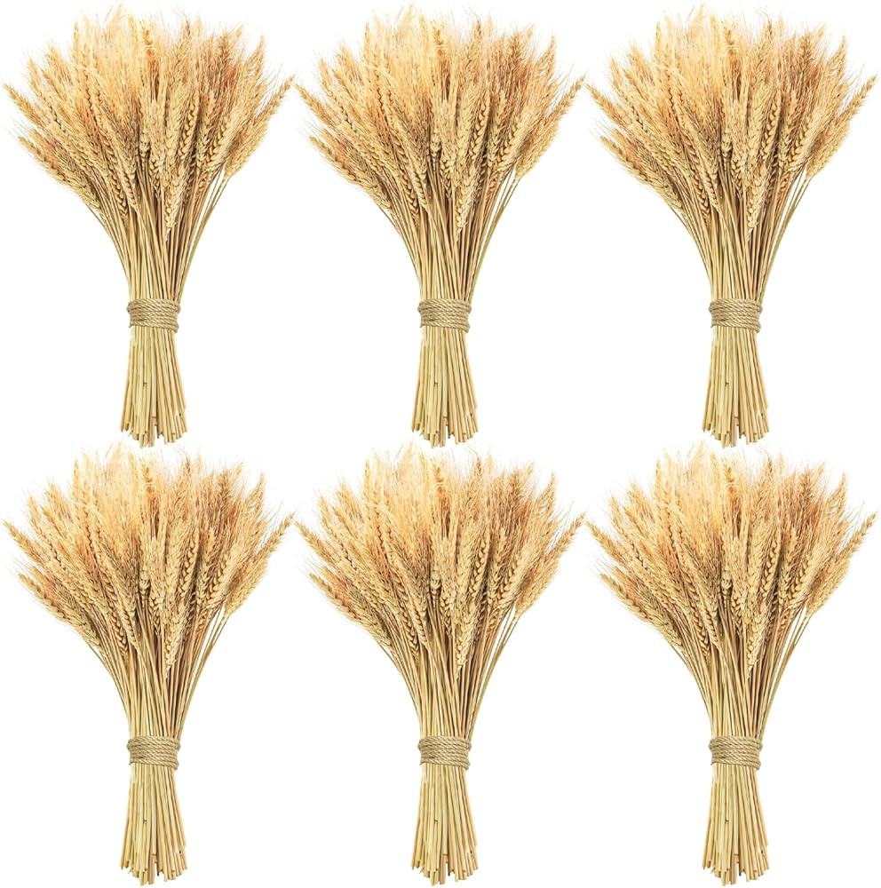 600 Stems Natural Dried Wheat Stalks, 18 inches Dried Wheat Grass Bundle Wheat Sheaves Wreath for... | Amazon (US)