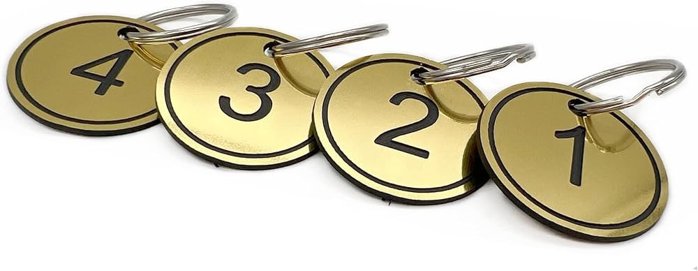 ABS Key Tags with Ring, Engraved Number Id Tags Key Chain, 35mm Numbered Key Rings 50 Pieces - Gl... | Amazon (US)