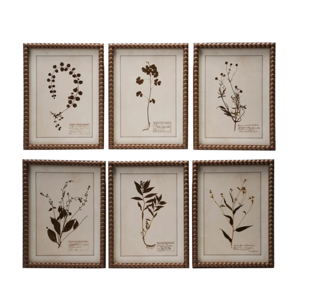 Framed Botanical Print Wall Decor | Individual | MJHome