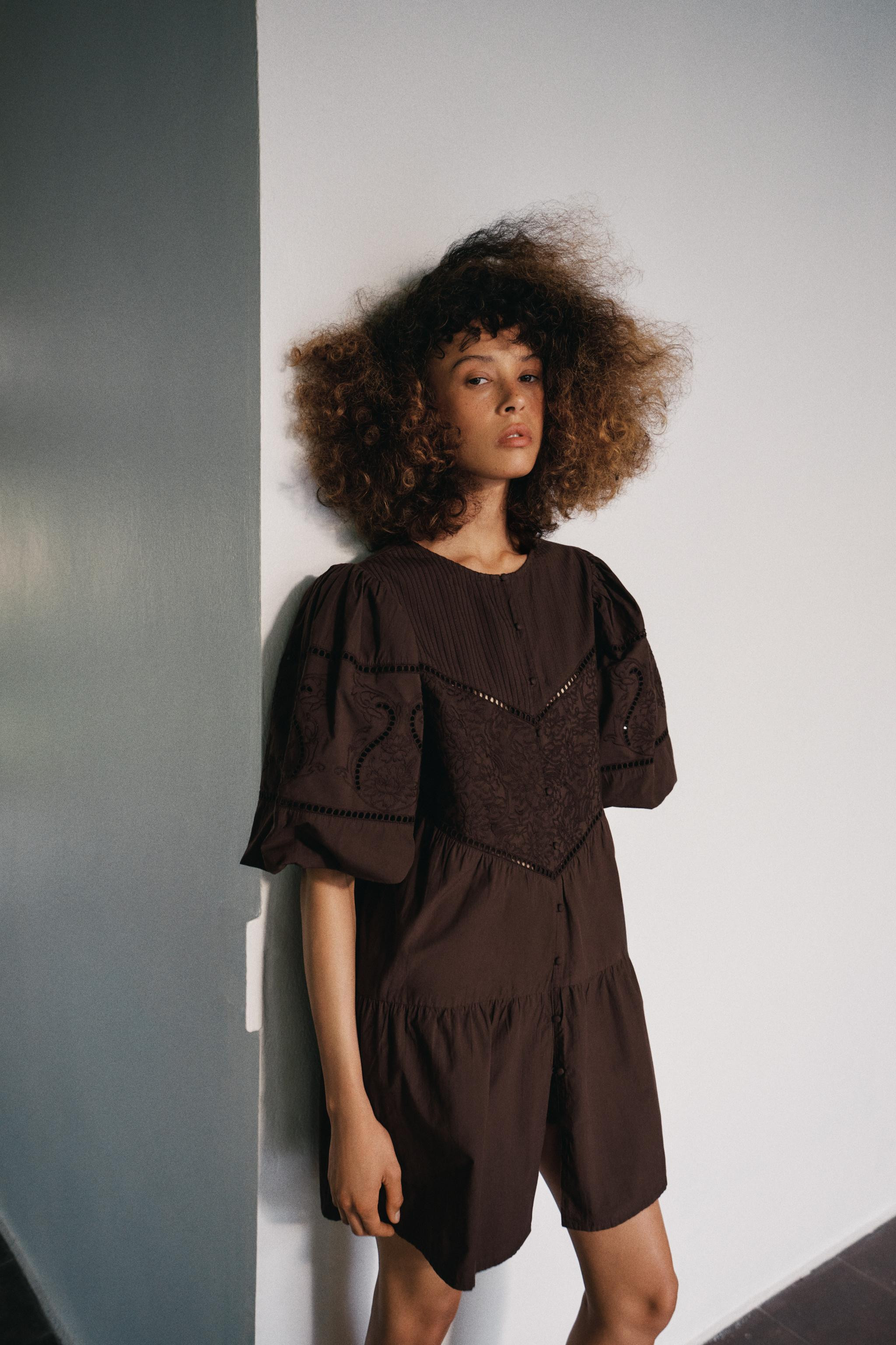 EMBROIDERED POPLIN MINI DRESS | Zara UK