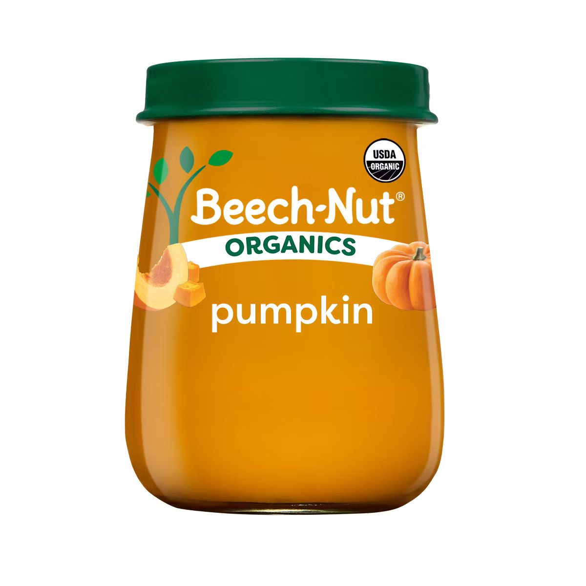 Beech-Nut Non-GMO Organics Pumpkin Baby Food Jar - 4oz | Target