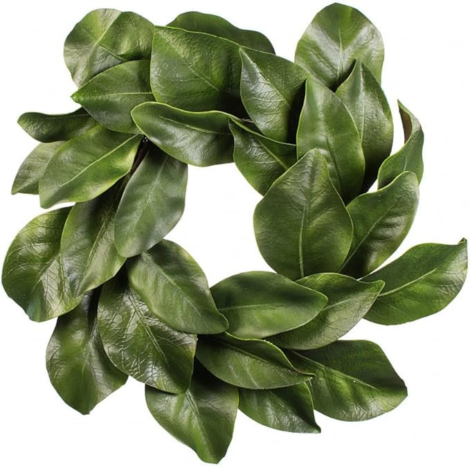 American Best Christmas Quality Magnolia Leaf Grapevine Wreath 16" | Amazon (US)