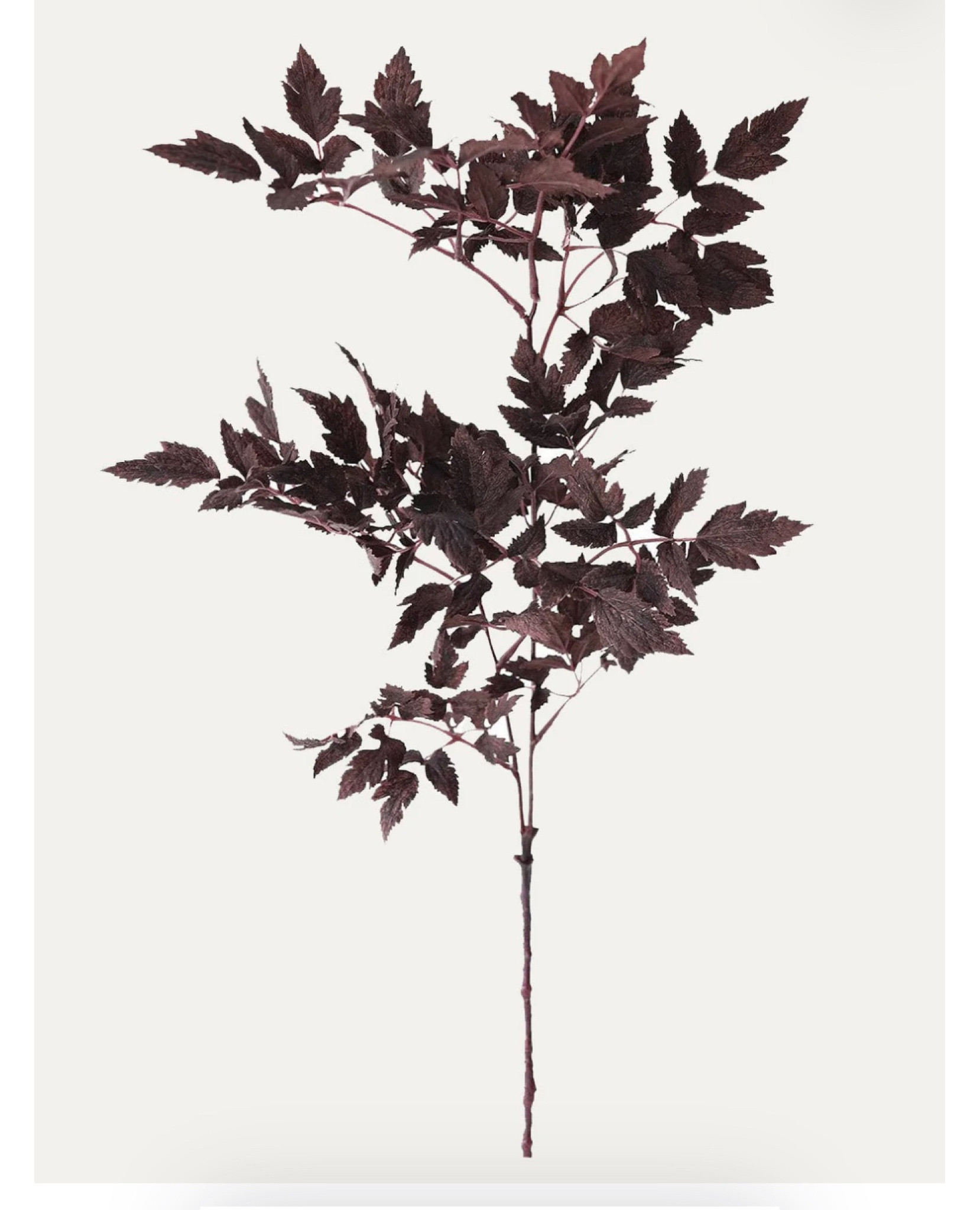 Plum Fake Cimicifuga Ramosa Leaves - 31"



#LTKSeasonal #LTKhome