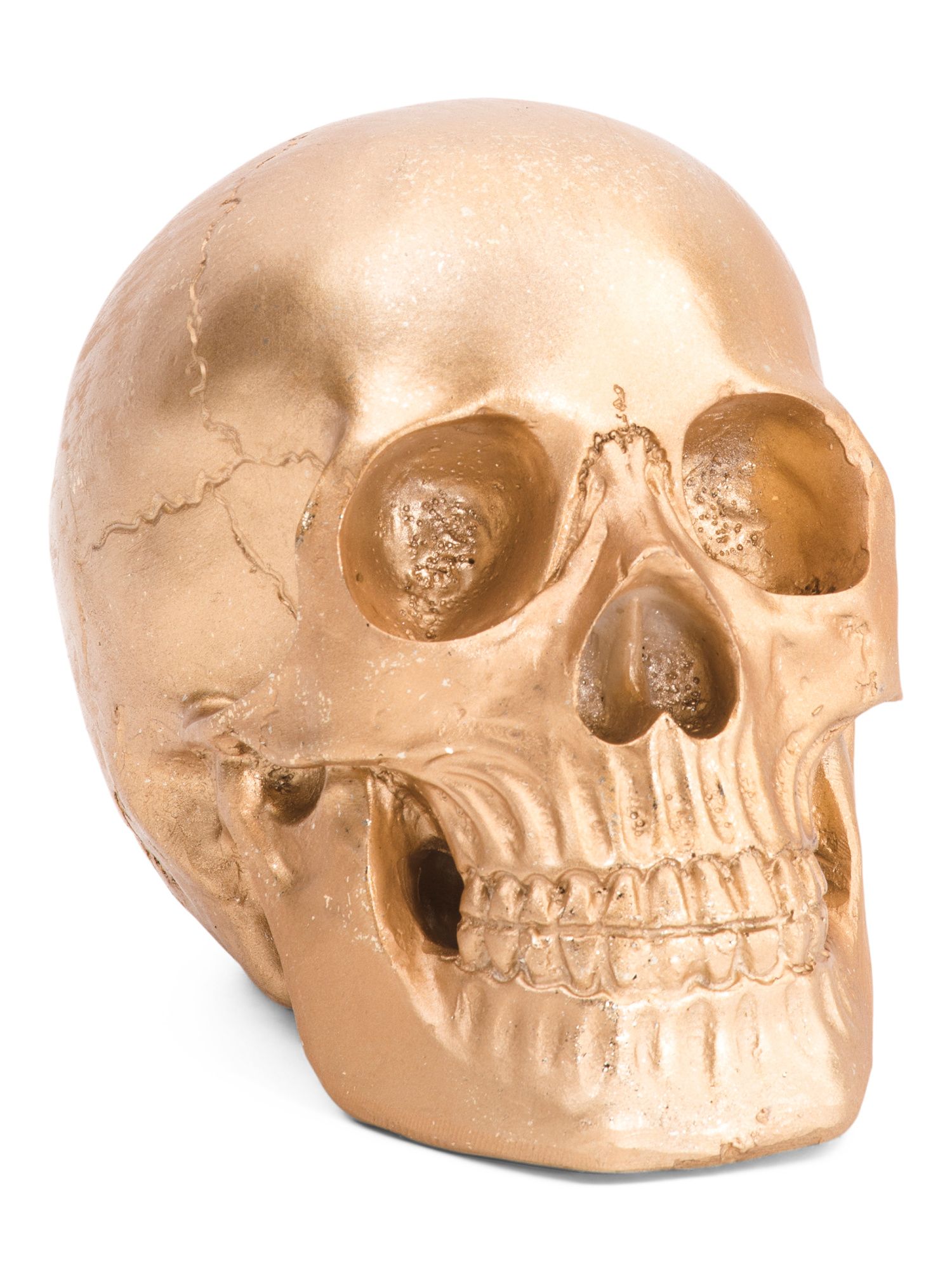 6in Skull Decor | Halloween | Marshalls | Marshalls
