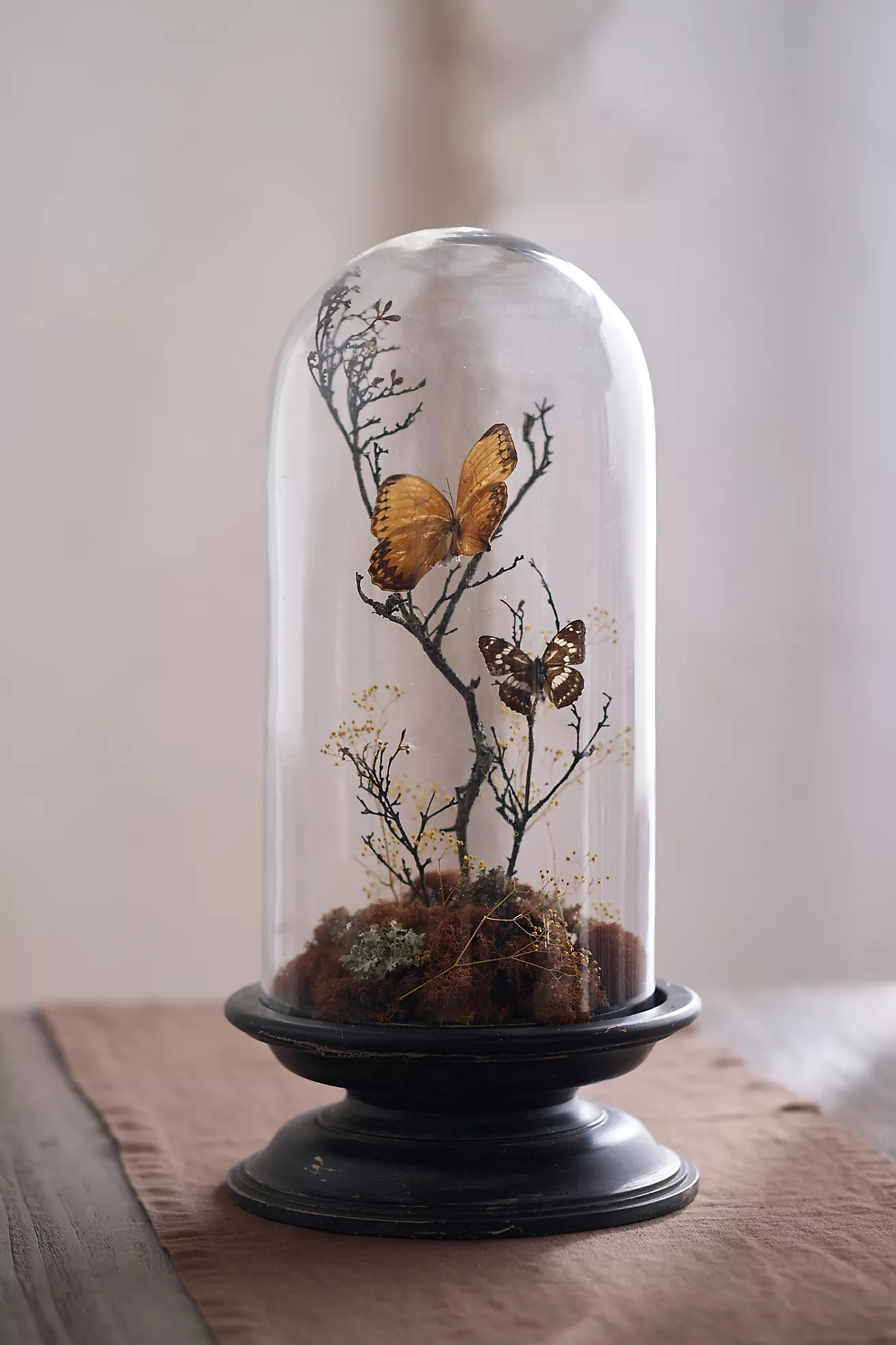 Glass Cloche with Distressed Wood Pedestal Base | Terrain