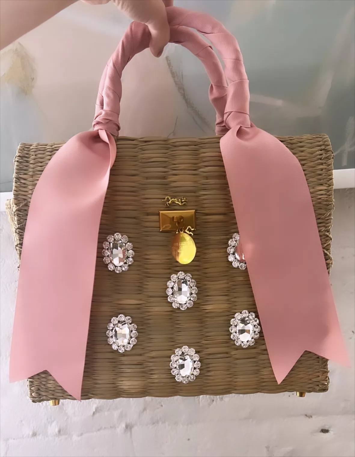 Jelly Beachkin Handbag