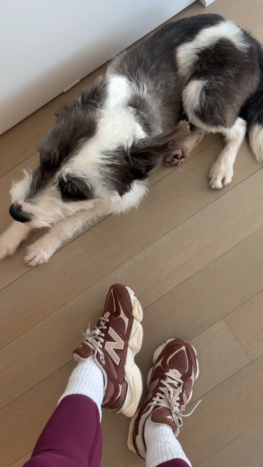 Suede brown new balancee

#LTKfitnessgoals #LTKGiftGuide