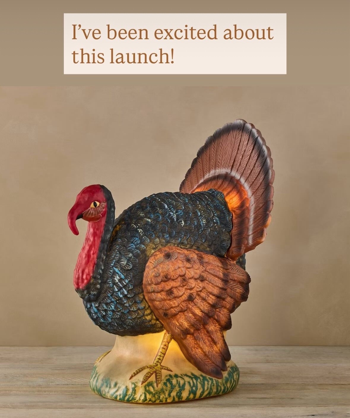 Thanksgiving and Christmas decor inspired by a vintage holiday? Yes, please!! Best part? It’s all SO AFFORDABLE !

#LTKFindsUnder50 #LTKHome #LTKSeasonal