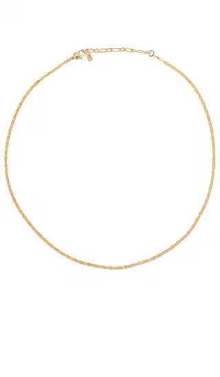 Jenny Bird Savi Choker in Metallic Gold. | Revolve Clothing (Global)