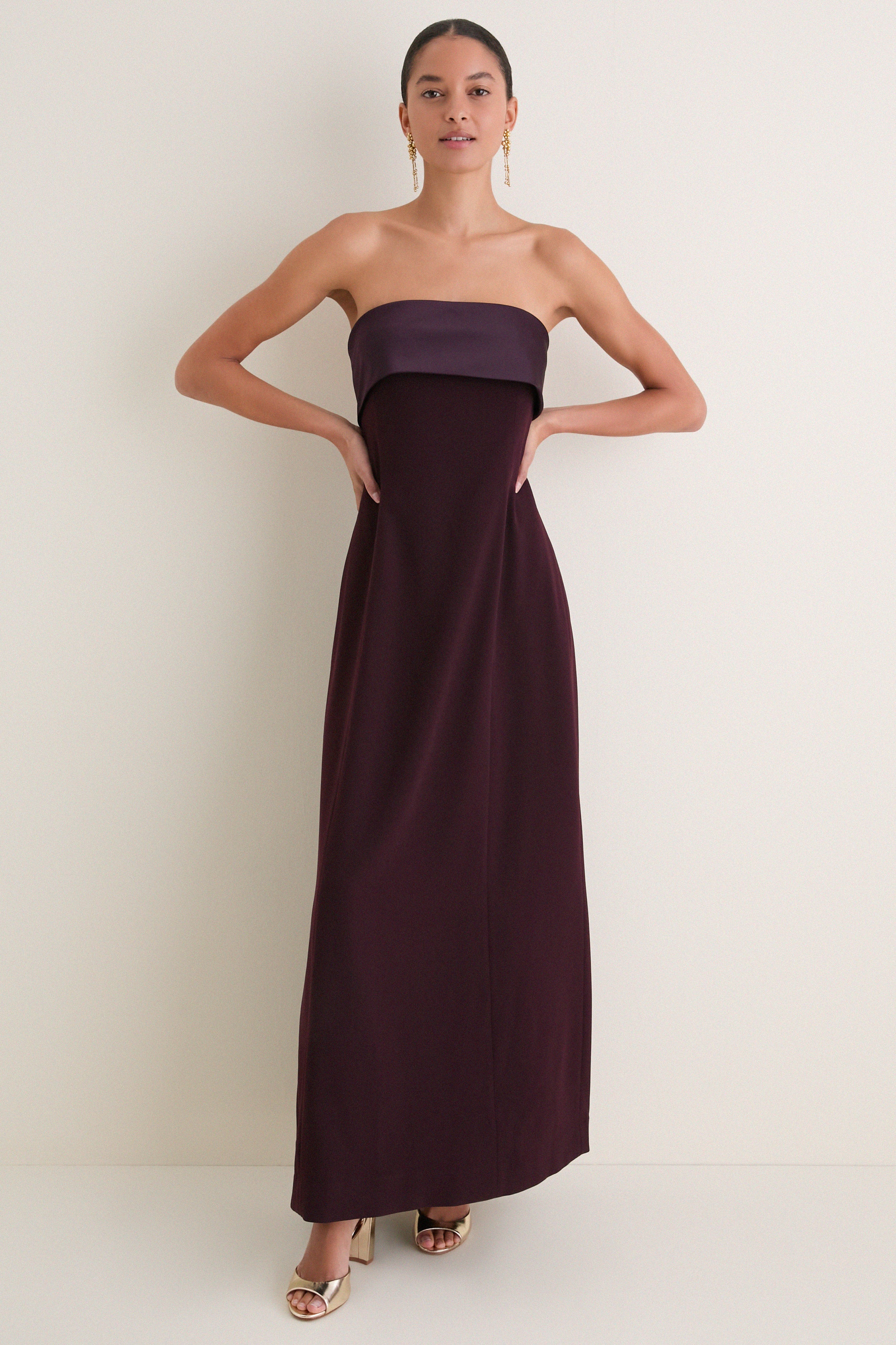 Aubergine Strapless Anita Dress | Tuckernuck (US)