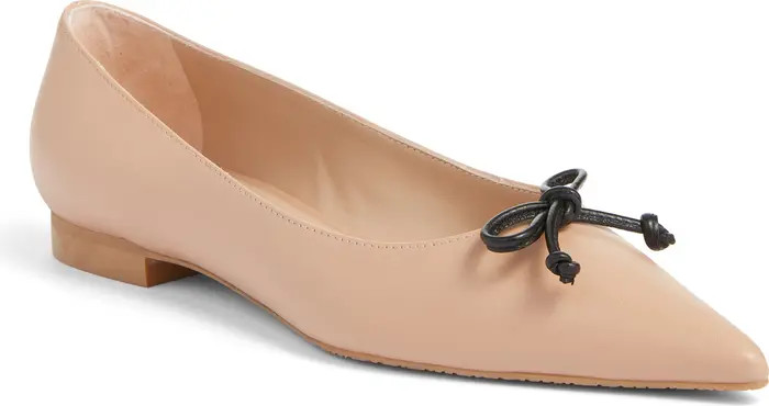 Landon Pointed Toe Ballet Flat (Women) | Nordstrom