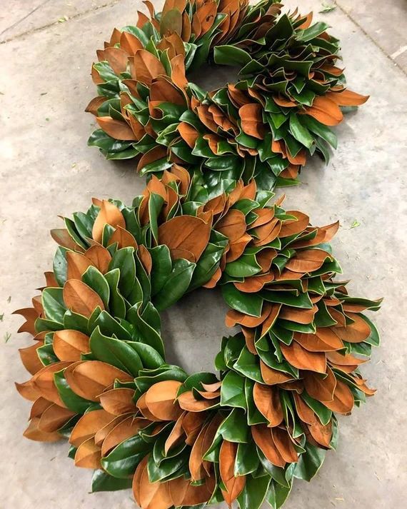 Fresh Solid Magnolia Wreath | Etsy | Etsy (US)