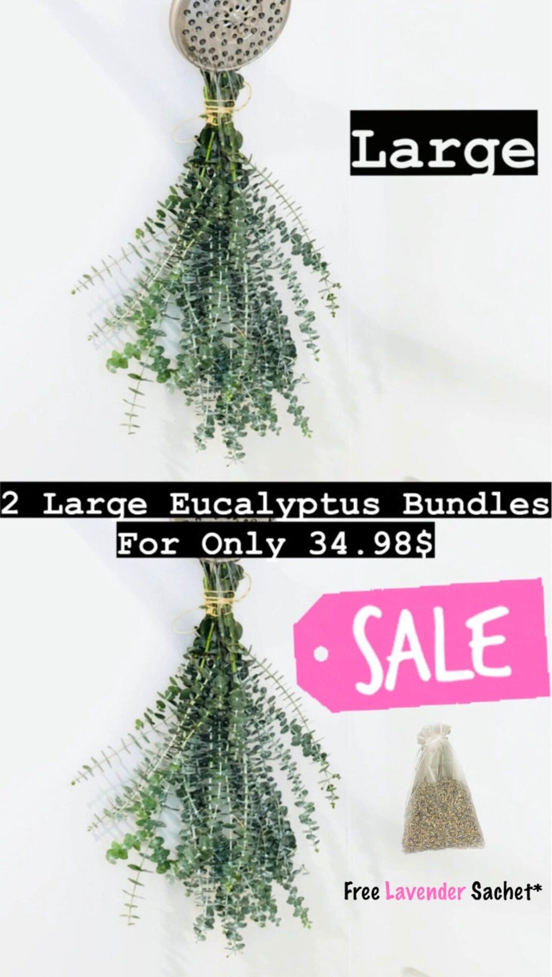 Large Fresh Eucalyptus Shower Bundle Aromatherapy Eucalyptus - Etsy | Etsy (US)