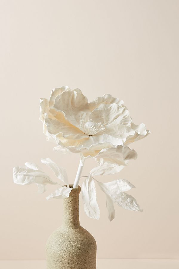Paper Poppy Stem | Anthropologie (US)
