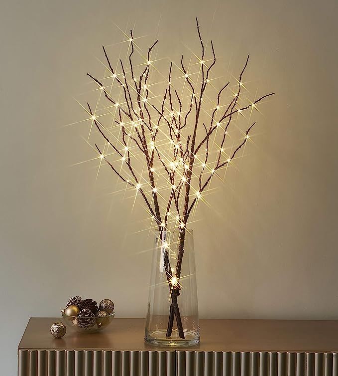 LITBLOOM Lighted Brown Willow Branches 32IN 100 LED with Timer Battery Operated, Tree Branch with... | Amazon (US)