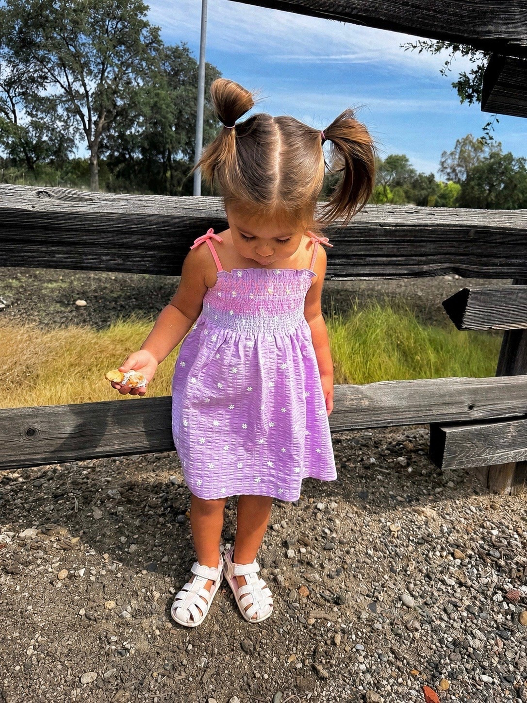 Toddler girl outfit
Toddler girl dress
Purple dress
White sandals
Zara kids

#LTKootd #LTKmomlife #LTKKids