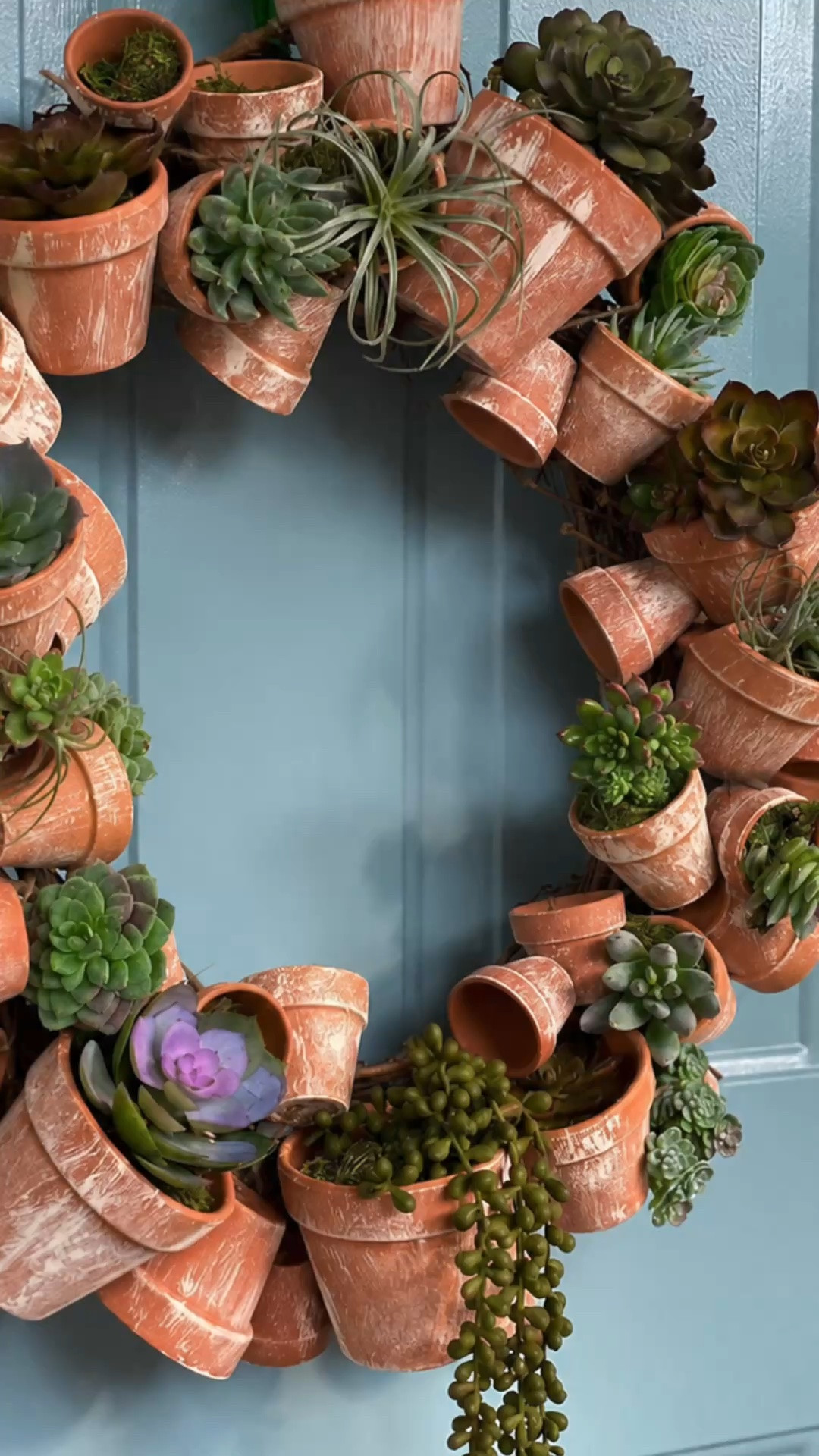 Would you believe this beautiful succulent wreath begins with a simple grapevine wreath and a collection of terracotta flowerpots? 🌿
I gave the pots a softly weathered finish, attached them in a variety of sizes, and filled several with faux succulents and moss. I love that some pots are left empty—it keeps the finished wreath from feeling too crowded and lets all those charming little details shine!
I’ve linked the supplies you’ll need to create your own flowerpot wreath. Save this idea for a late-summer DIY that will look beautiful well into fall!

#LTKHome #LTKSeasonal