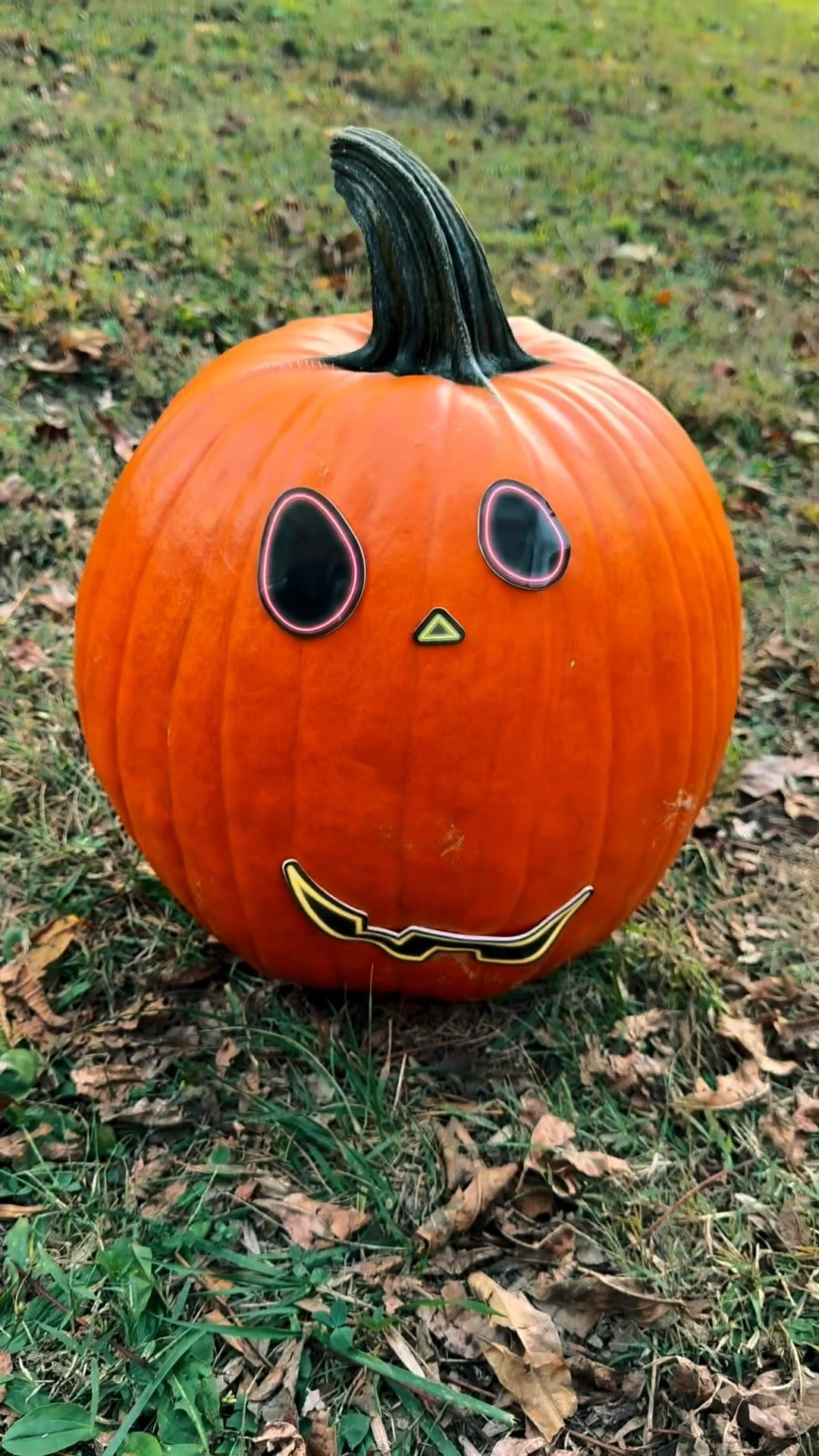 🎃 Pumpkin Decorating Fun 🎃
Getting into the Halloween spirit with an easy fall craft — pumpkin decorating with Jack-O’-Lantern stickers! 🍂 MJ loved creating his own little pumpkin face with these mess-free sticker sheets — perfect for toddlers, preschoolers, and kids who love hands-on fun without the carving tools. 👦🧡

This simple pumpkin decorating idea is great for a cozy fall afternoon, Halloween party, or family night activity. A cute and creative way to let kids design their own DIY pumpkins while keeping things safe, fun, and festive! 🎨✨

pumpkin decorating, halloween crafts, kids crafts, fall activities, toddler activity, pumpkin crafts, jack o lantern, halloween fun, easy fall craft, family activities, ltk home, ltk fall, ltk family, ltk seasonal, ltk crafts, ltk fall finds, diy halloween decor, mom life, fall craft ideas, halloween ideas, fall fun, ltk


#LTKKids #LTKHalloween #LTKSeasonal