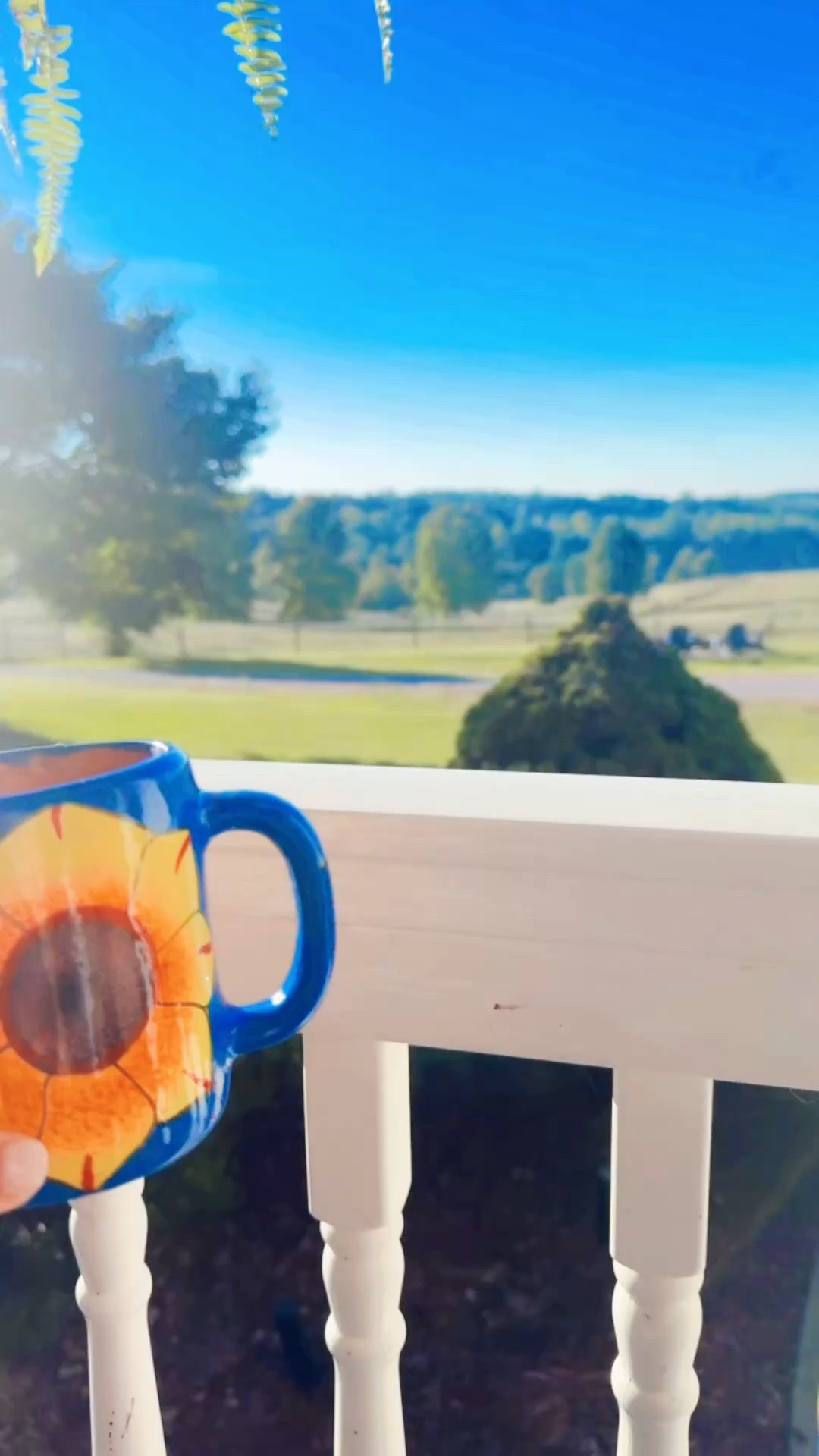 happy first fall friday of october from the farm!!! ☕️🌼🦌🧺