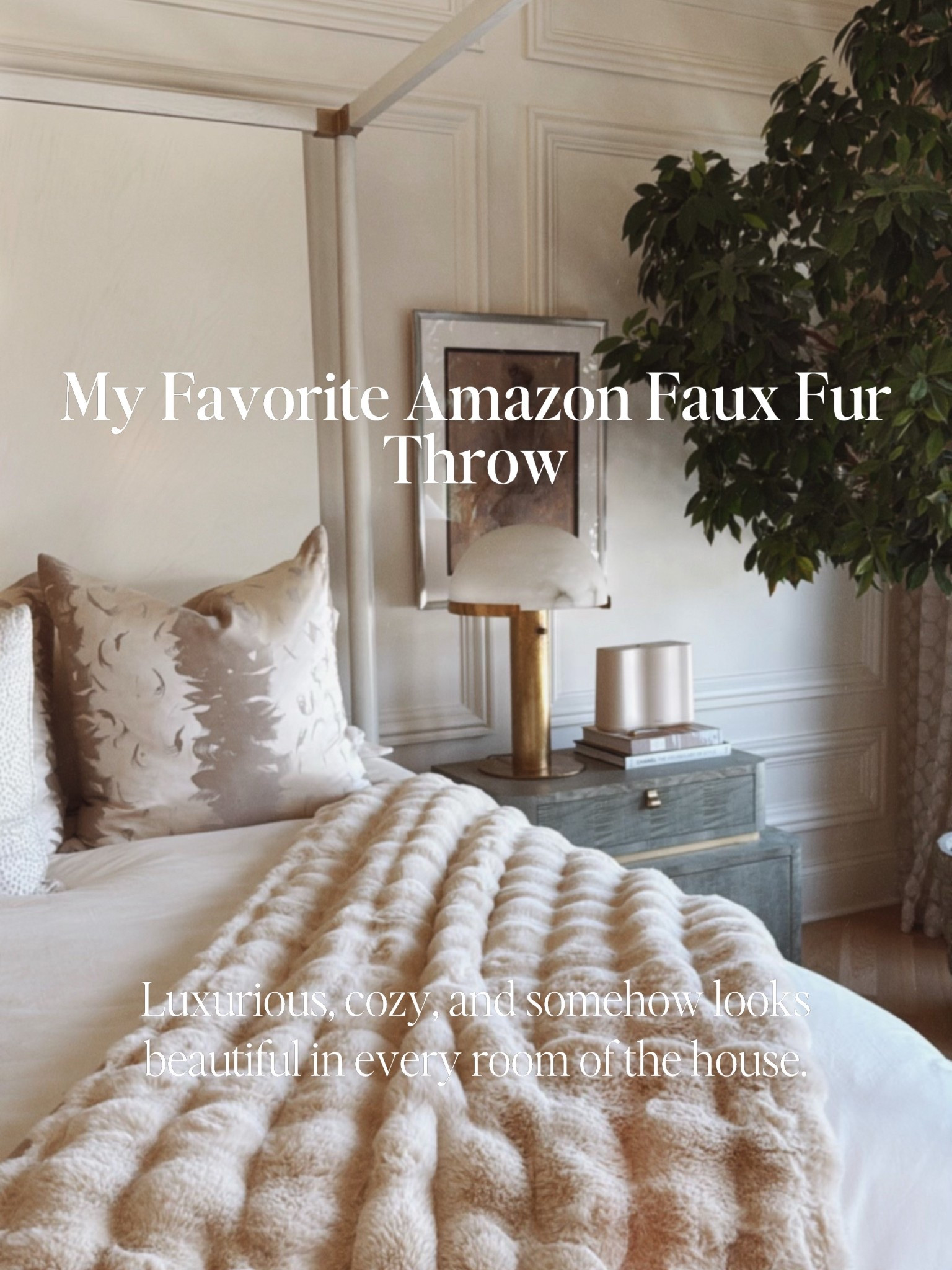 This faux fur throw is so soft! My kids always steal it from my room. It looks so pretty draped on a bed or couch and comes in a bunch of colors 