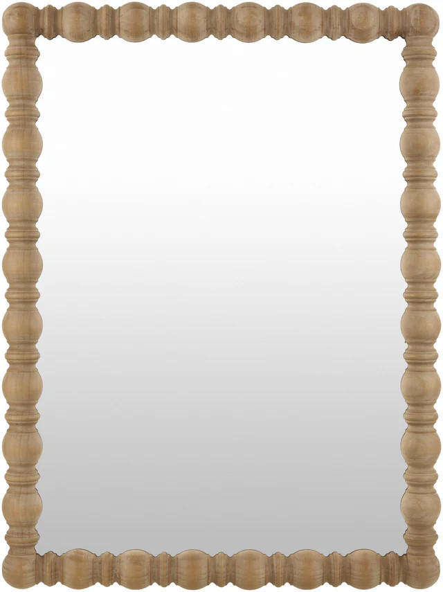 Surya Brennan Bren-002 40"H X 30"W X 2"D Mirror | DecoratorsBest
