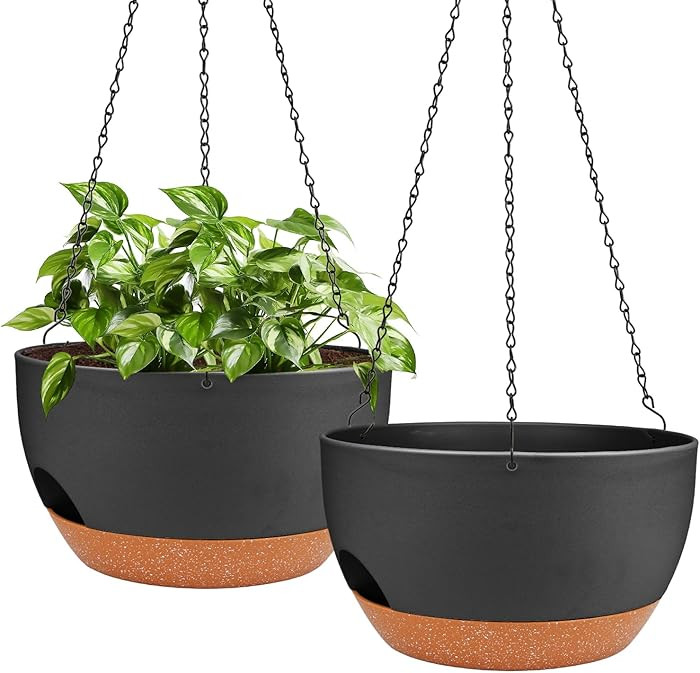 Hanging Planters for Outdoor Indoor Plants, 2 Pack 12 Inch Hanging Basket Plants Outdoor, Self Wa... | Amazon (US)