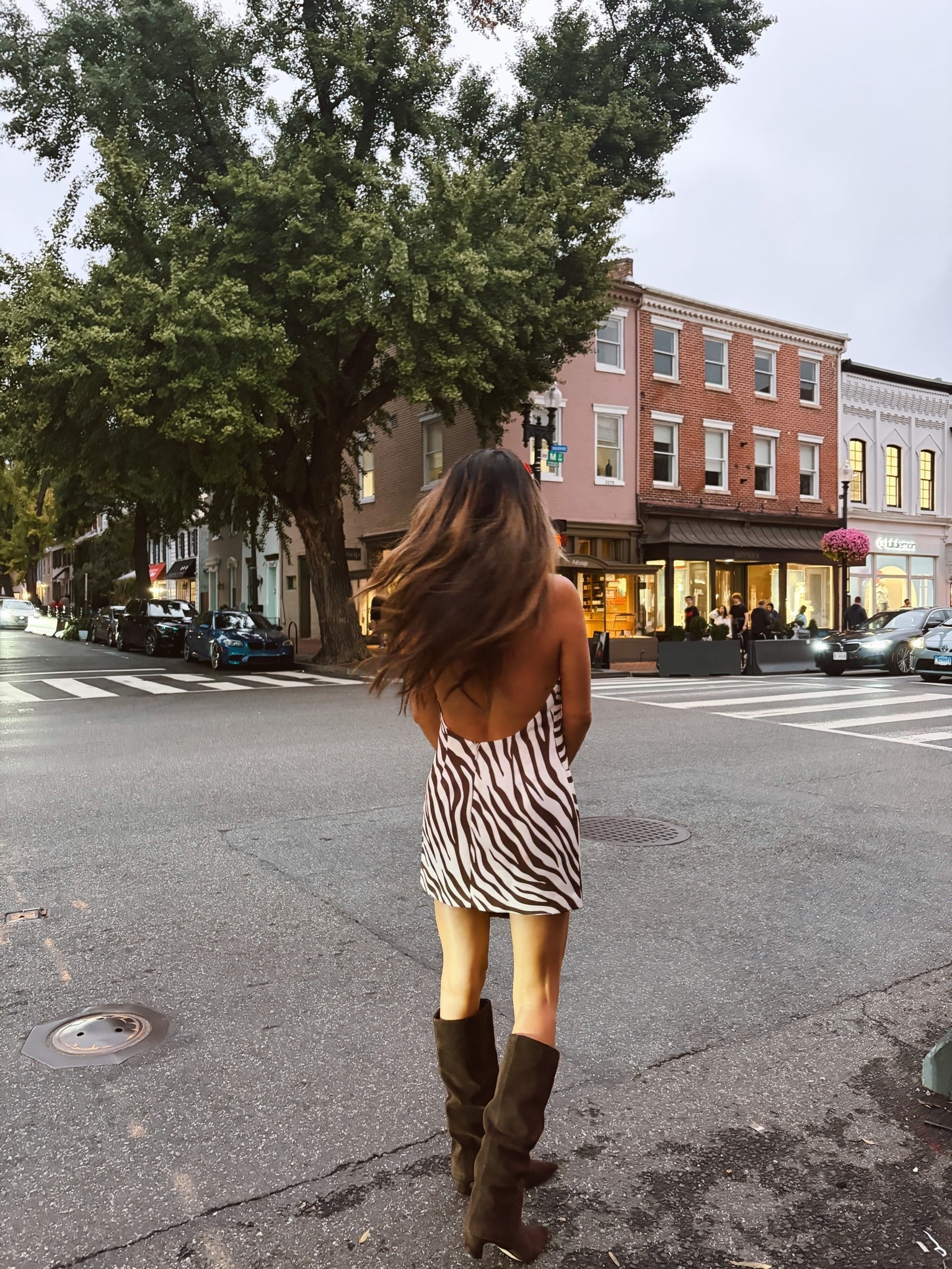 Fall date night outfit! Zebra print trend, knee high boots, bottega bag dupe