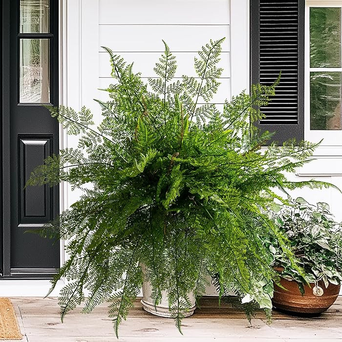 4PCS Lifelike Fake Fern Plants UV Resistant Artificial Boston Ferns for Outdoor Indoor Large Fake... | Amazon (US)