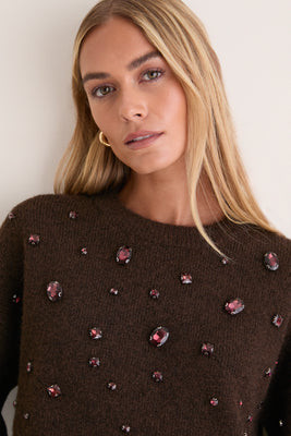 Brown Embellished Lana Crewneck | Tuckernuck (US)