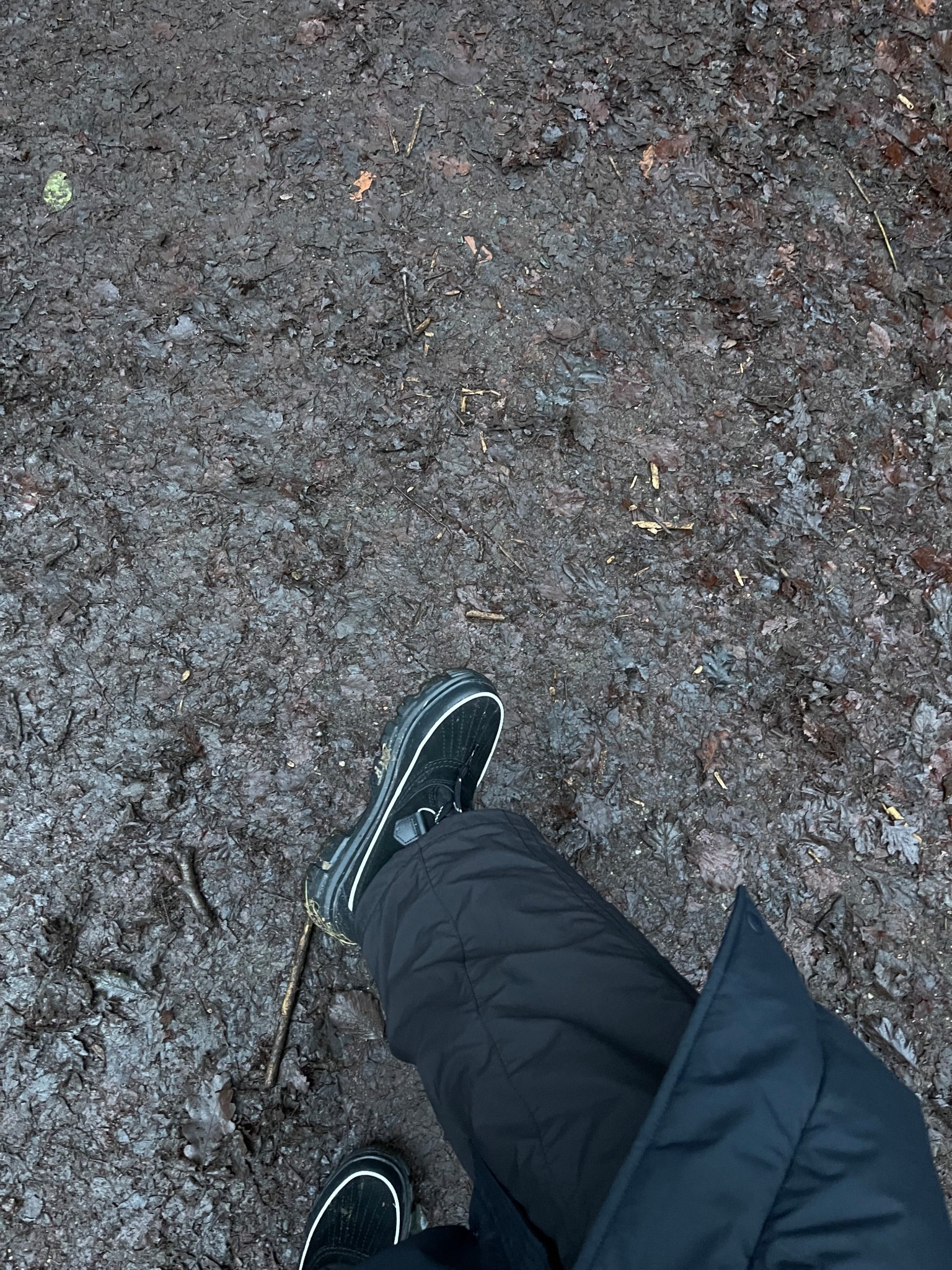 Winter dog walk essentials 
Sorel Torino snow boots
Uniqlo warm lined trousers
