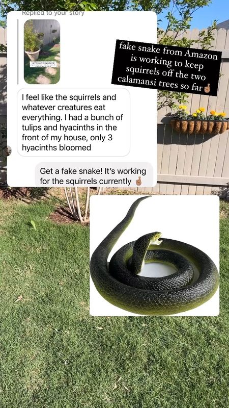fake snake as critter deterrent for garden/backyard 

#LTKSeasonal #LTKVideo #LTKhome