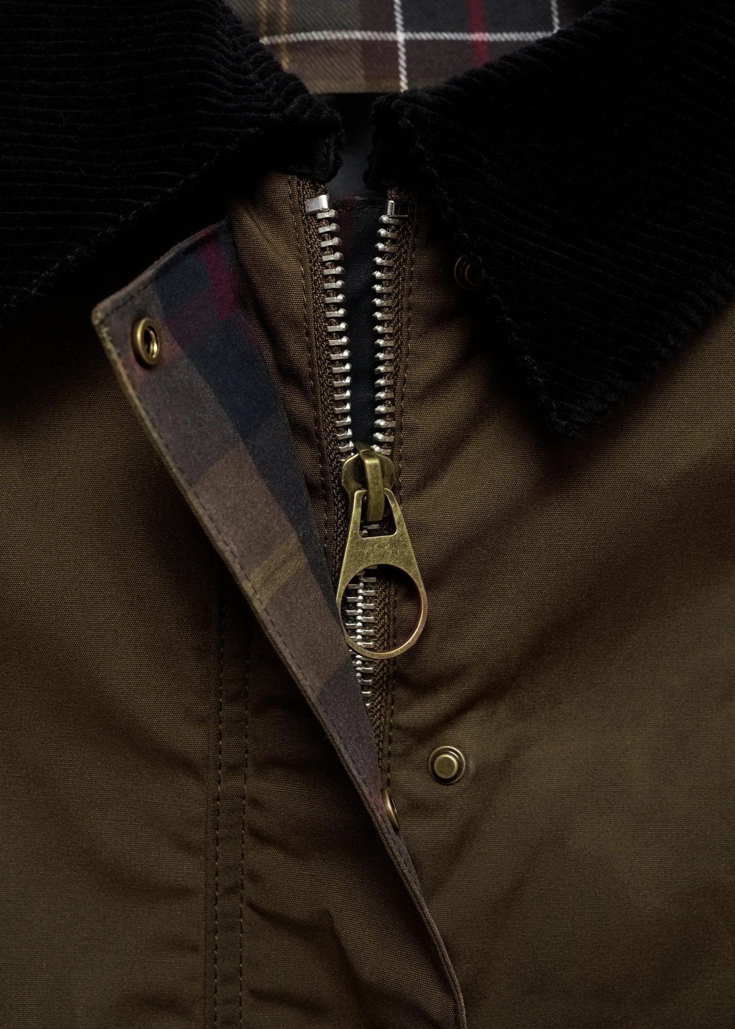 Waxed-effect short parka - Women | MANGO USA | Mango (US/MX/AU)