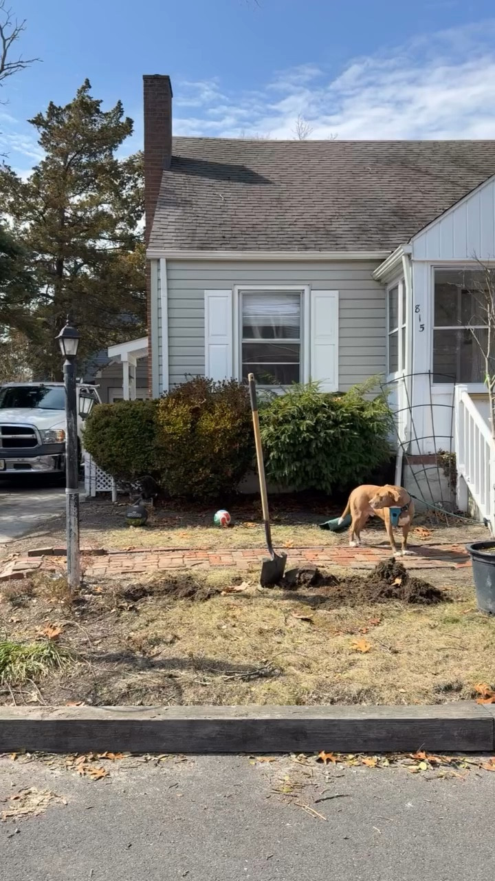 our little fixer upper needs all the glow up it can get on the outside. we thought these solar pathway lights would be a good first step. next up, plants and flowers 🌿🌼

comment ‘Solar’ for a link to these easy to install lights. 

#homerenovation #coastalcottagerenovation