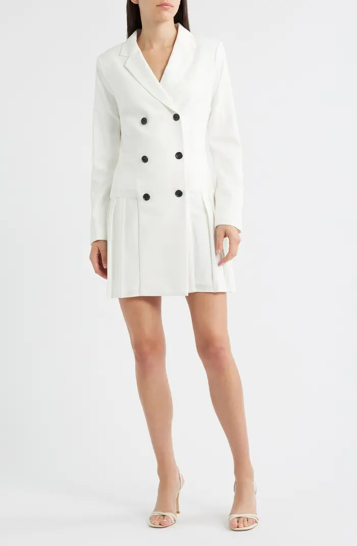 Tahari ASL Long Sleeve Pleated Coat Dress | Nordstrom | Nordstrom
