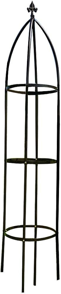 Garden Arch Trellis for Climbing Plants Rose Thicken Metal Wedding Arches Arbor Ceremony Party Ou... | Amazon (US)