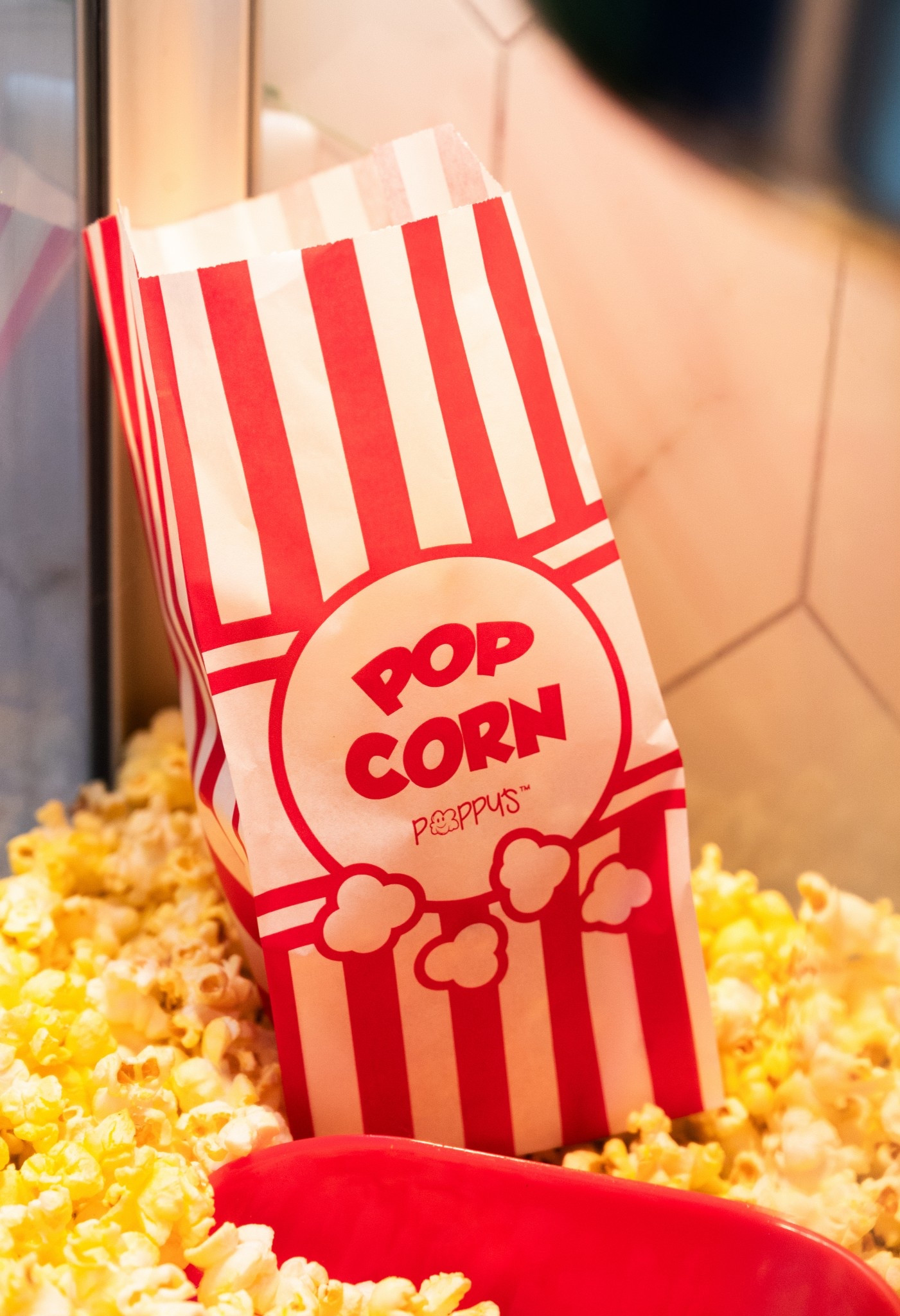 Movie night!!! 🍿 READY ✔️