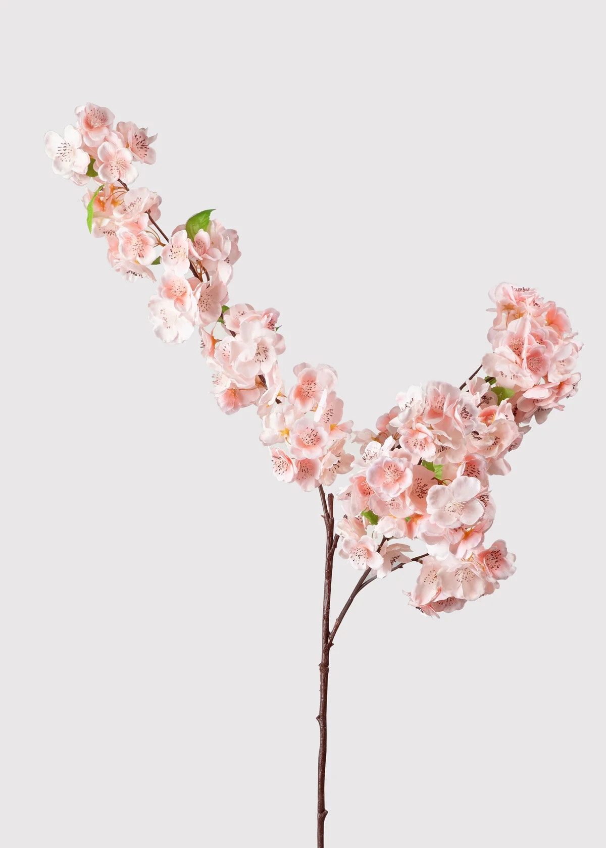 Pink Cherry Blossom Branch | Artificial Spring Flowers at Afloral | Afloral