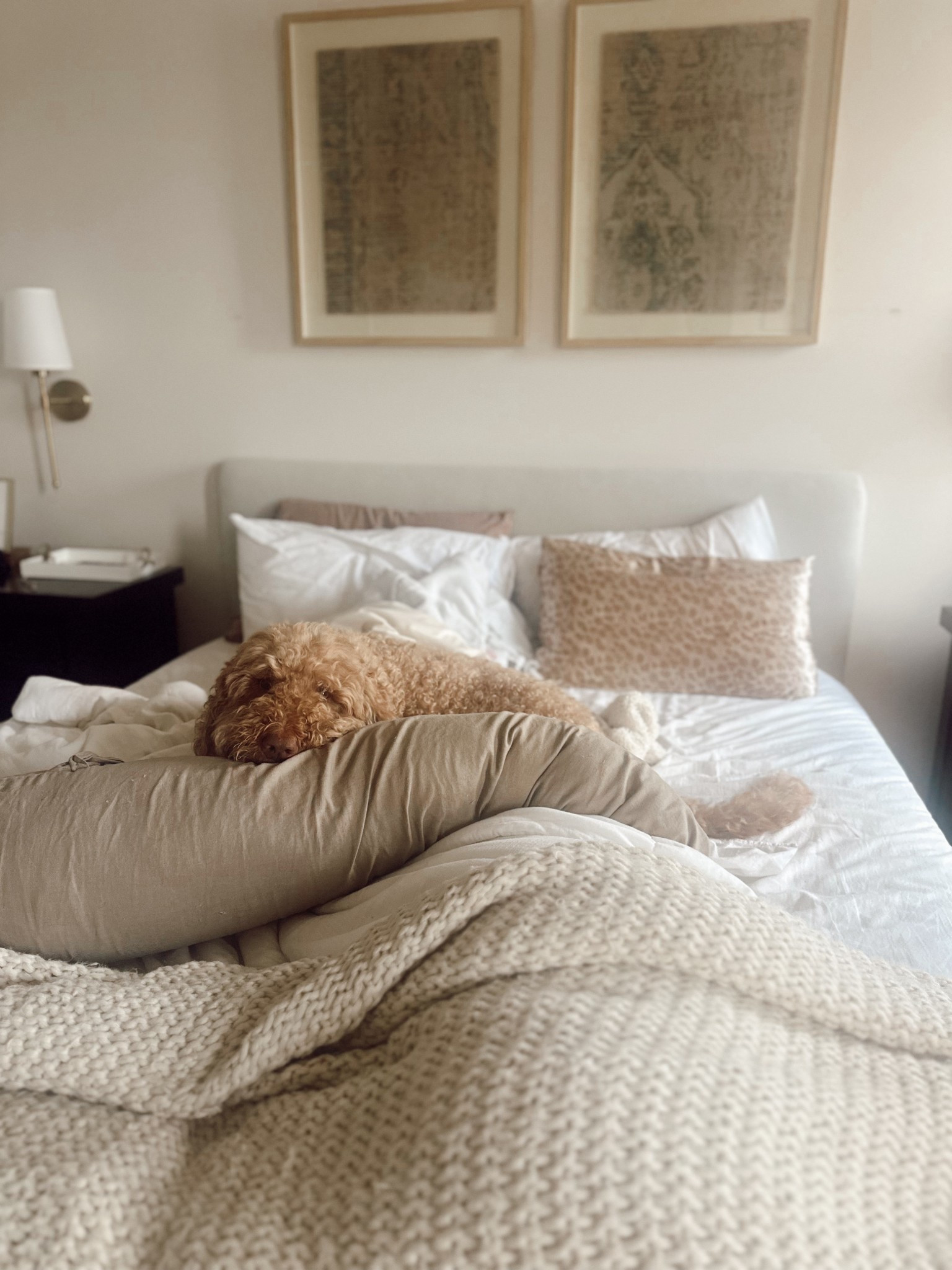 Someone likes my body pillow 😂 linking the body pillow I’m using + it can be tied together to create a pillow for nursing after baby is here! 

#LTKBump #LTKmomlife #LTKselfcare