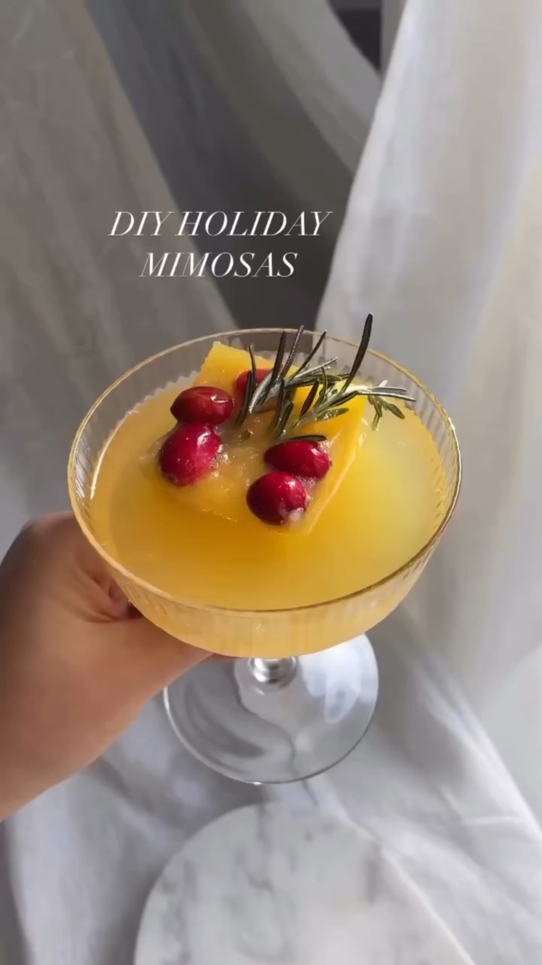 for those that like an essence of orange juice in their mimosas🍊

these easy holiday mimosas are a festival way to dress up your next holiday brunch!

- silicone ice trays
- cranberries 
- rosemary sprigs
- orange juice 

Add all ingredients to your silcione mold and freeze overnight for perfect holiday mimosas!

- Brooke xx