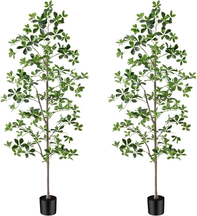 6ft Tall Artificial Black Olive Tree with 945 Lifelike Leaves, Tall Fake Greenery Olive Silk Plan... | Amazon (US)