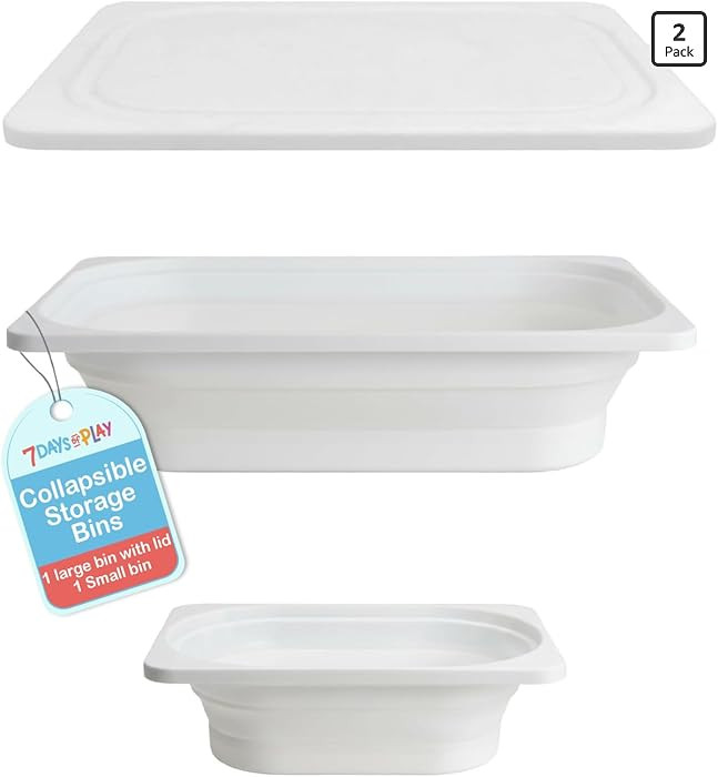 Collapsible Storage Bins, 2-Pack, Large Bin with Lid + Small Bin, Plastic Dish Tub, Camping, Sens... | Amazon (US)