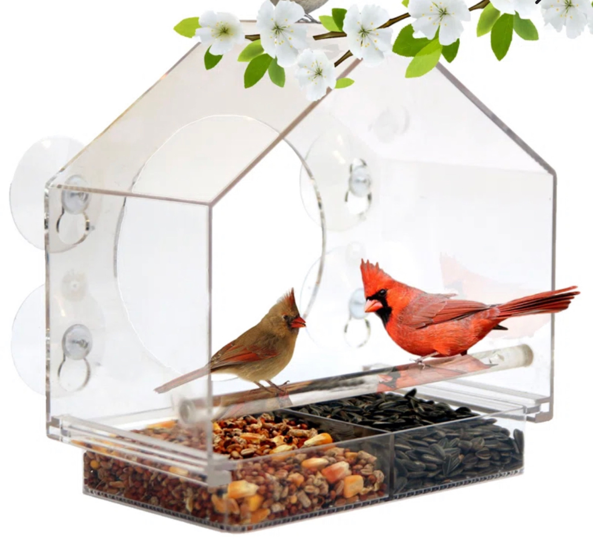 Our favorite bird feeder finds!

#LTKFind #LTKhome #LTKSeasonal
