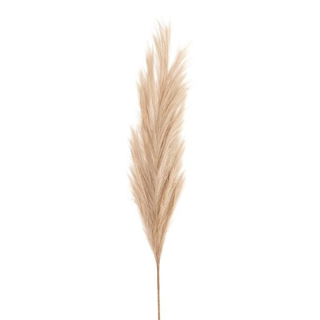Large Light Brown Faux Pampas Grass Stem | World Market